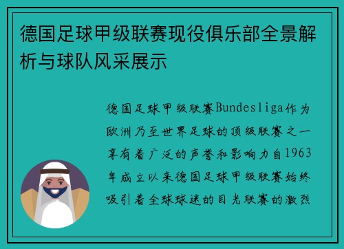 德国足球甲级联赛现役俱乐部全景解析与球队风采展示