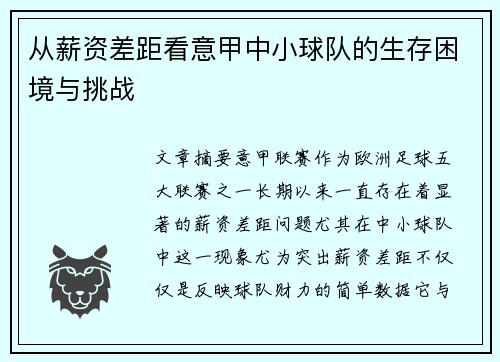从薪资差距看意甲中小球队的生存困境与挑战